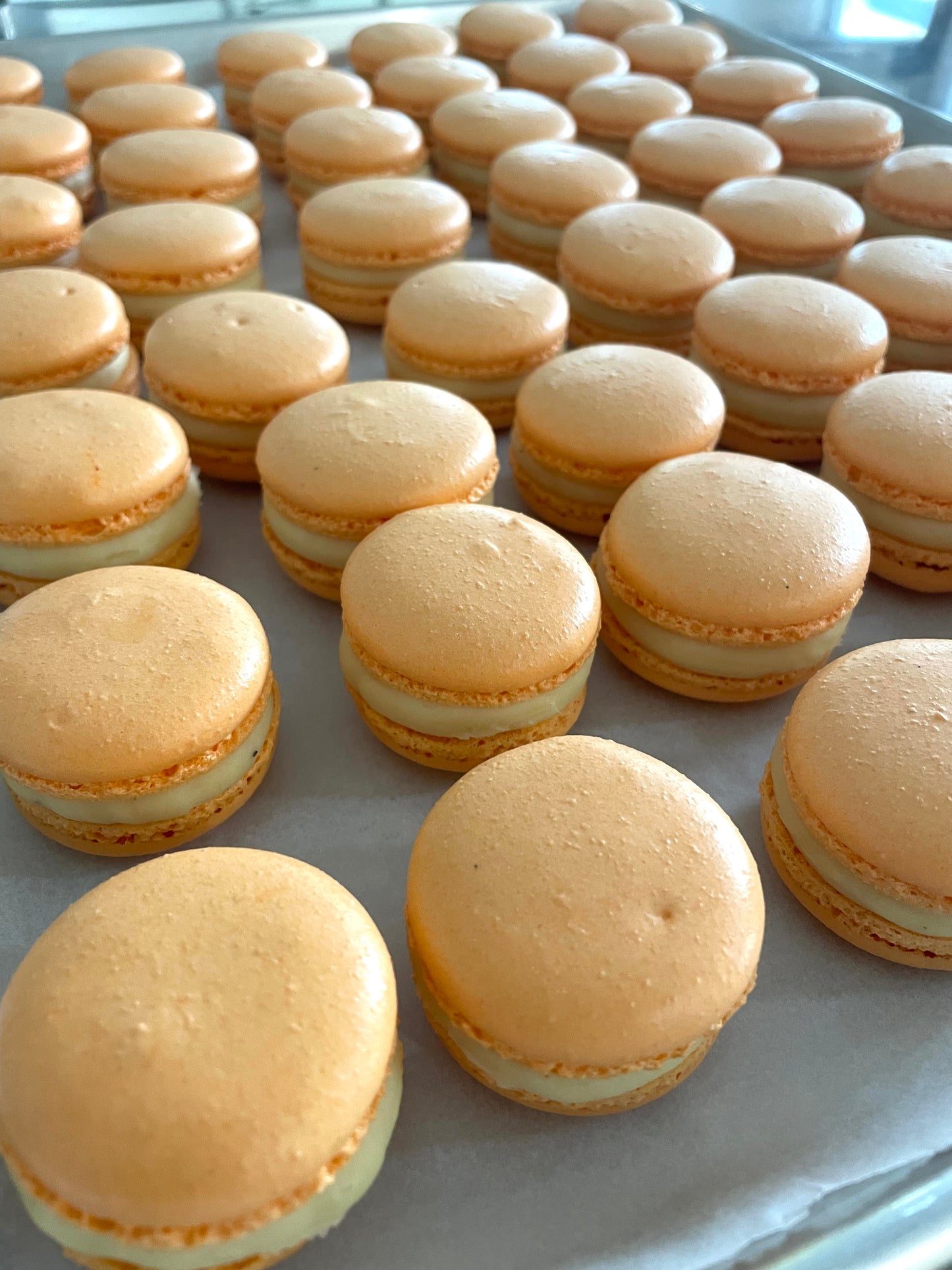 Tropical Punch Macarons