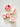 Barbie Mini Cookies