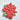 Christmas Poinsettia Cookie