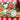 Christmas Gift Pack 7