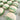 Pandan and Coconut Macarons