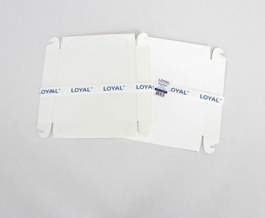 Loyal Biscuit Box Square with Clear Lid