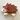 Hedgehog Cookie