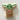 Baby Yoda Cookie