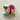 SquarePants Gary Cookie