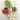 Bee and Ladybug Mini Cookies