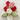 Mothers Day All Roses Mason Jar Bouquet