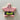 SquarePants Patrick Cookie