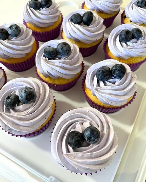 Blueberry and Coconut Cupcakes