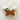 Star Pudding Cookie