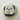 Dog Portrait Cookie