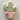 Cactus in Pot Cookie